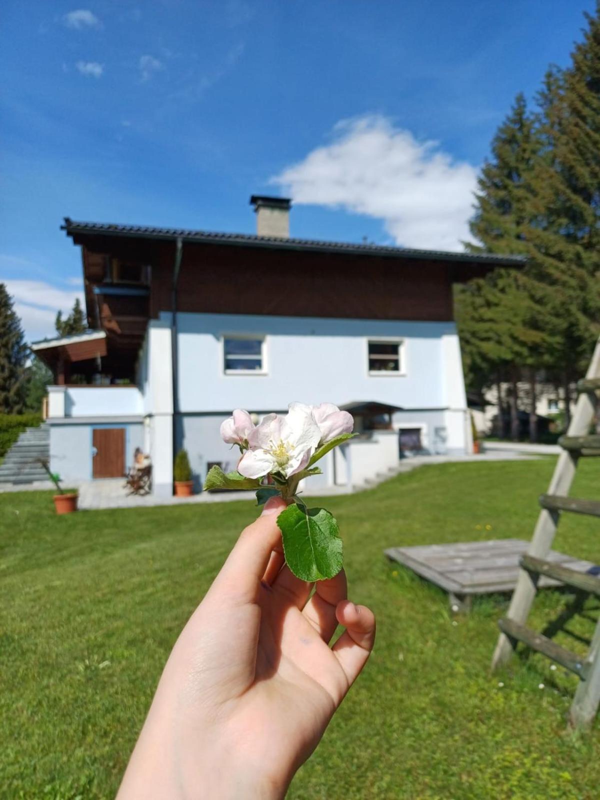 Appartements Am See Neukirchen am Großvenediger Exteriör bild